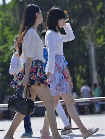西边的风儿童种子资源