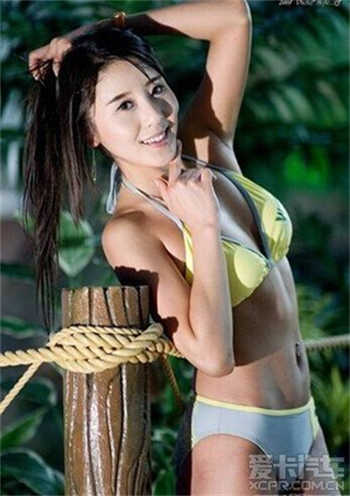 r8九天狐狸