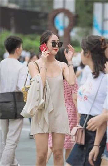 开发菊花需要准备什么