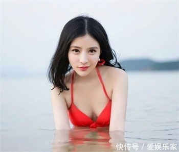 免费下载向日葵色斑