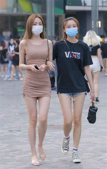 2019番号库