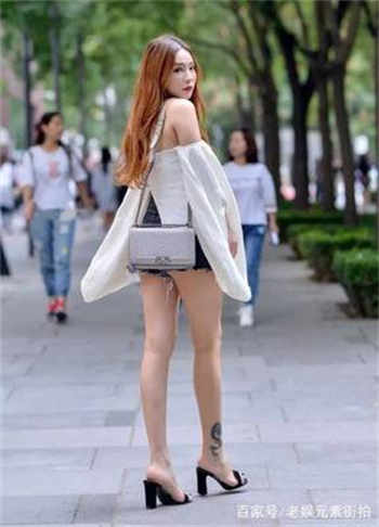 女主叫夏楚的小说