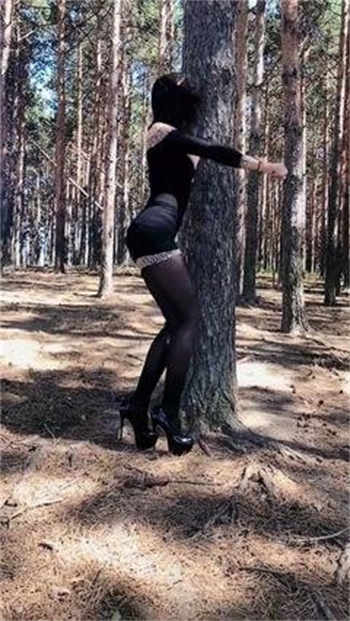 首长大叔的小萌妻战衍