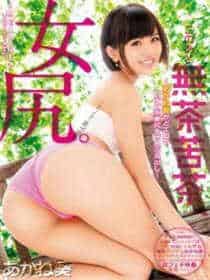 sw系列经典介绍